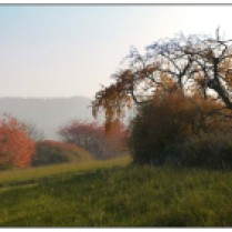 Herbstlandschaft bei Dunzweiler III