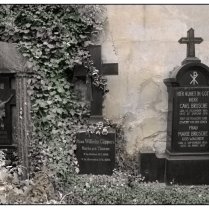 Alter katholischer Friedhof I, Dresden
