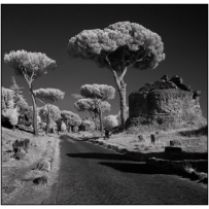 Via Appia Antica II