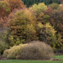 Herbst in der Westpfalz008