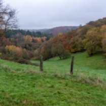 Herbst in der Westpfalz010