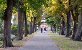 Friedhof in Brandenburg 3